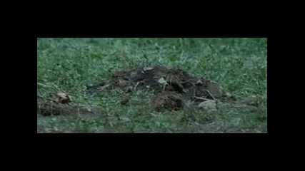 The Hunger Games Игрите на глада 2012