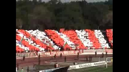 Многобройната публика на Цска е най - великата.