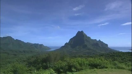 Tropical Sea