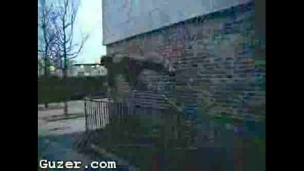 Parkour 2