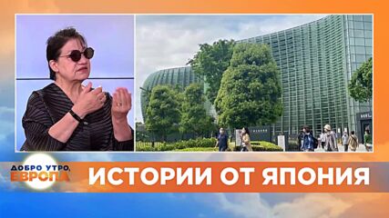 Видео - (2022-06-01 13:12:01)