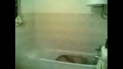 Super Idiot