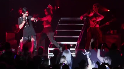 2011} Adam Lambert - Fever / Live / 