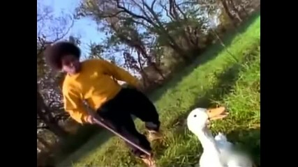 Kurious - Walk Like A Duck