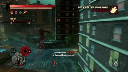 Prototype 2 - Video Review