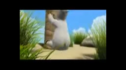 bear desert island