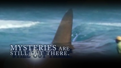 Мистерии: Megalodon Shark уловен в кадър!