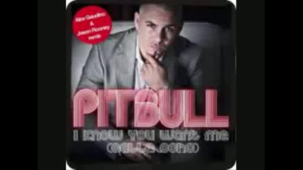 Pitbull I Know You Want Me House 2009
