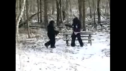 Valentines Day Bigfoot Footage