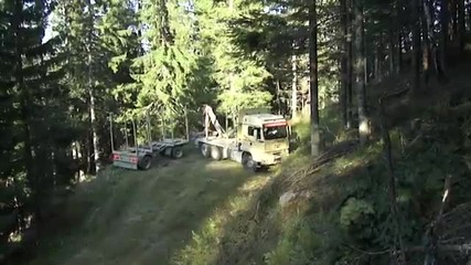 Man holztransport