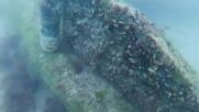 Откриха уникална котва в Царево, която остава под вода като морска атракция