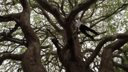 Flow productions-one of the best parkour videos!