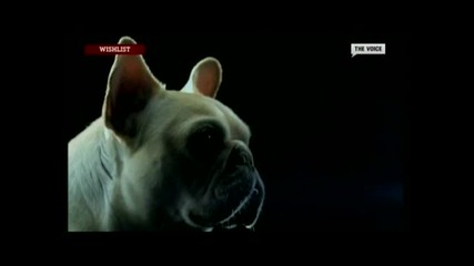 Swedish house mafia- Save the world