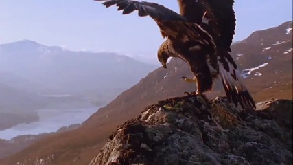 Невероятната планета Земя!