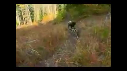 Steve peat downhill