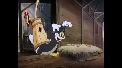 Tom & Jerry - Fine Feathered Friend
