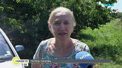 В Кюстендил: Всеки може сам да си набере череши срещу символично заплащане