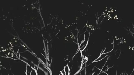 Grace Potter and the Nocturnals - Tiny Light 
