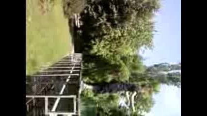 Back Flip