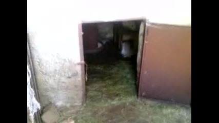 kundofrei