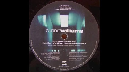 Cunnie Williams -- Spirit (maw Mix)