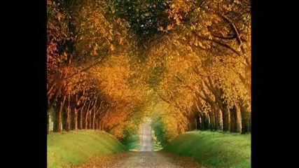 Eric Satie - Gymnopedies