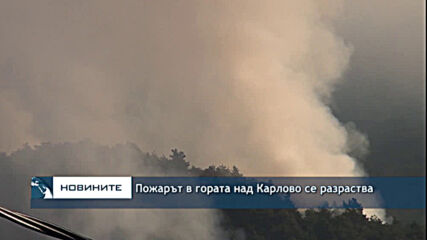 Пожарът в гората над Карлово се разраства