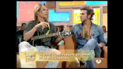 Gato En Cada Dia Part 6