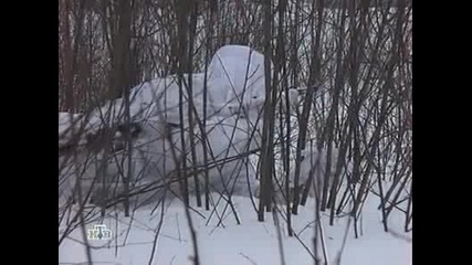 Снайперисти