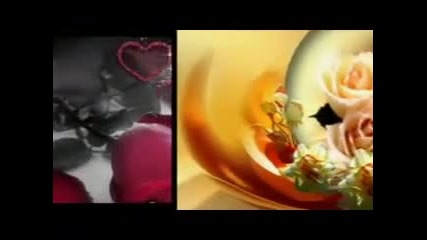 Darko Domijan - Dajem Ti Srce
