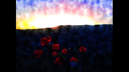 it s a new dawn