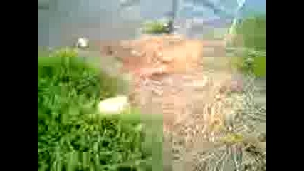 kef 