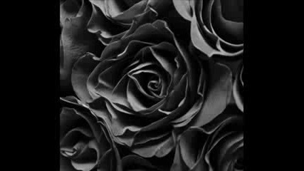 Ikon - Black Roses