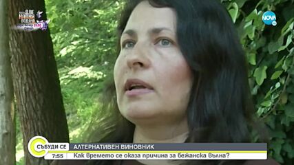 Природни бедствия гонят 26 милиона души от дома годишно
