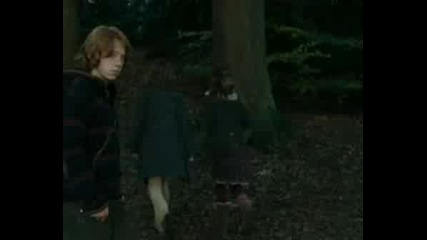 Ron And Hermione - Never See Your Face