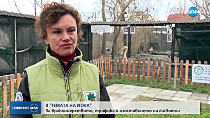 В аванс от „Темата на NOVA”: Трафикът на диви животни