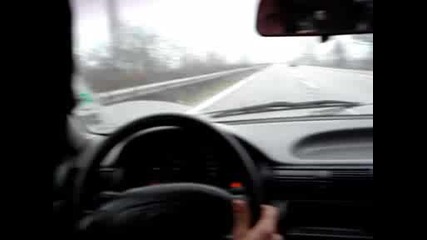Мароканска Астра В Димитровград