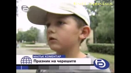 Празник на черешите - Бтв Малък коментар
