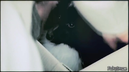 Flower Boy Next Door Hey Na Na [mv1]