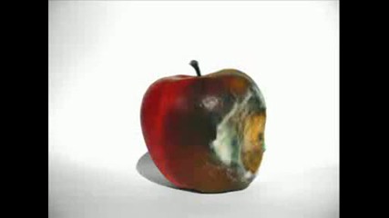 Ябълка Гние Vbox7