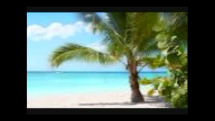 Zen Den - Relax