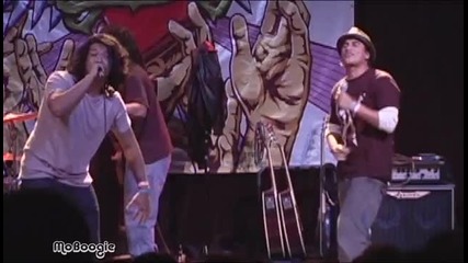 Tomorrows Bad Seeds - Ready Fe Rock (live) 