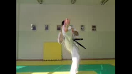 Berseks karate technics 