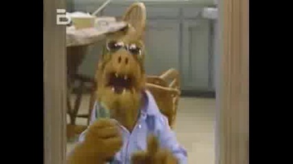 Alf By Bossa Bg-Soullord