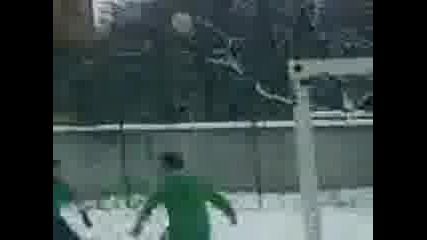 Beroe - Mach