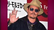 Johnny Depp Could Face 10 Years in Prison for Smuggling Dogs into Australia