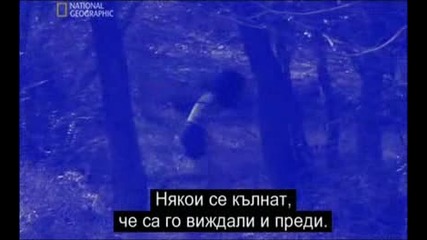 Is it real? - Подивели деца - National Geographic + Bg subs част 1/2