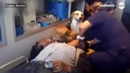 Кучета придружиха стопанина си в болницата