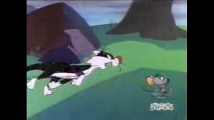 Warner Bros - 042261 D Fightin Ones Mm Cn 