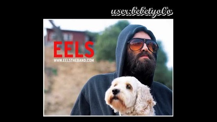 Eels - fresh blood